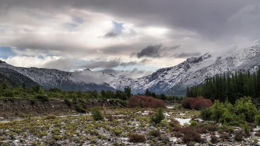 A valley filled with plant life sits near a mountain range on a cloudy day