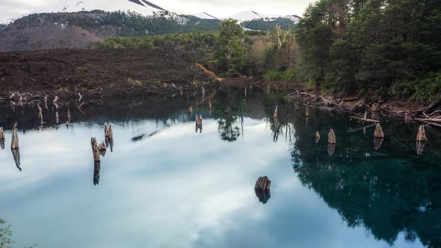 A small pond surrounded by trees