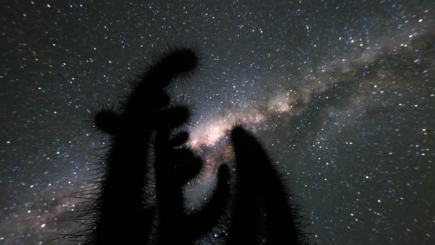 The star filled sky moves over the cactus