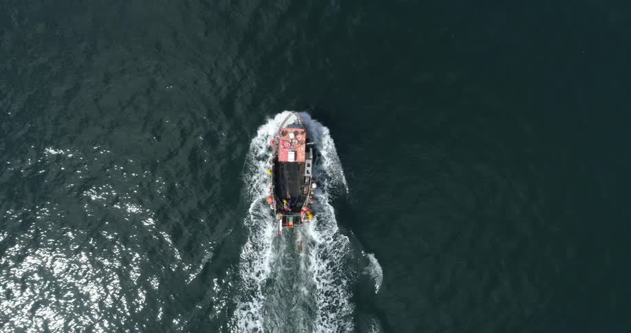 A boat travels in the water