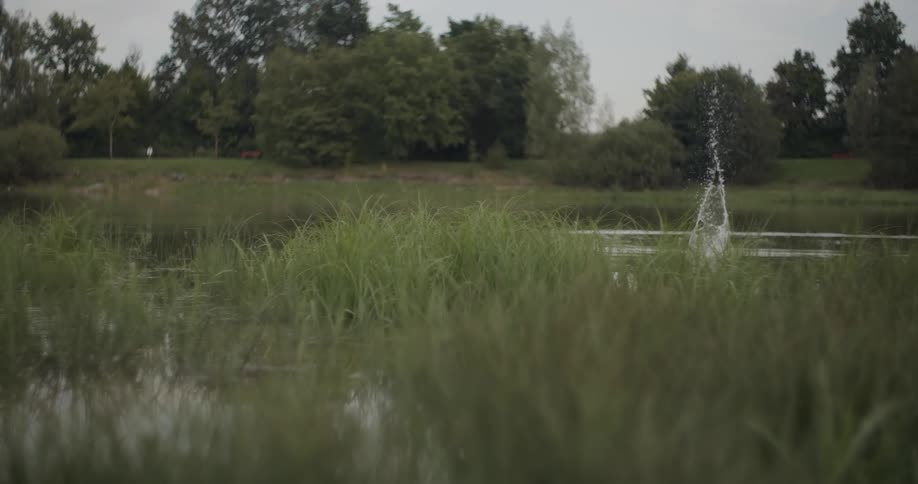 A rock goes flying into the lake causing a splash