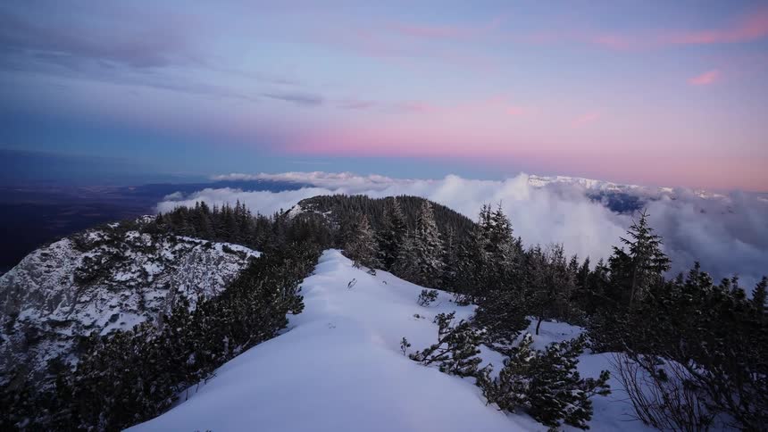 A hilltop full of trees and with a lot of snow on the ground and in front there is a huge cloud hovering over the place