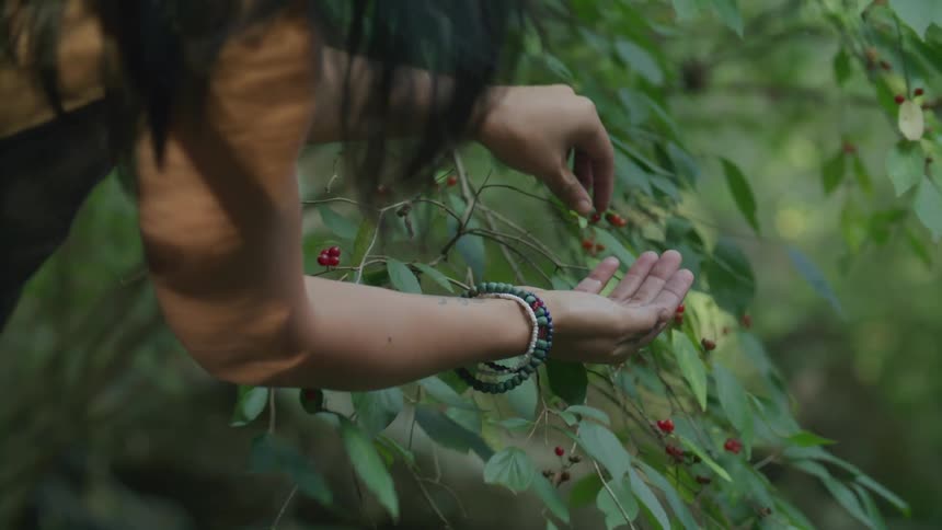 A young woman picks berries from a plant