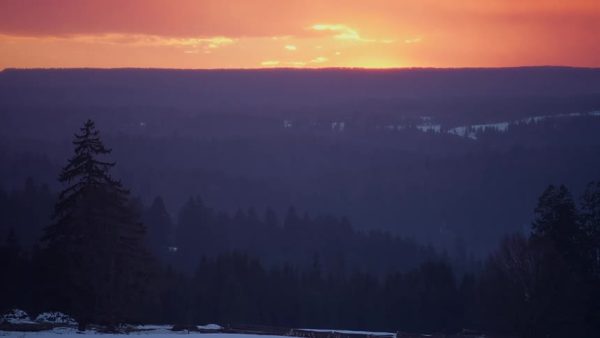 Fog fills conifer forest filled valley in winter under a red sky