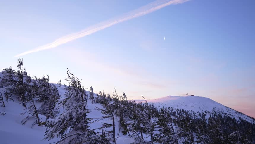 Panorama of a mountain with trees and covered with snow in the morning sky
