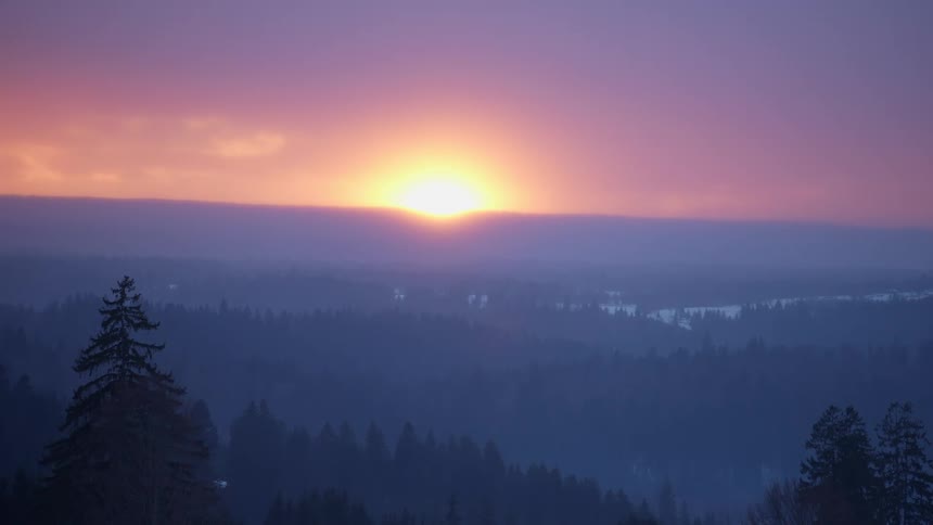 The sun rises over a forest