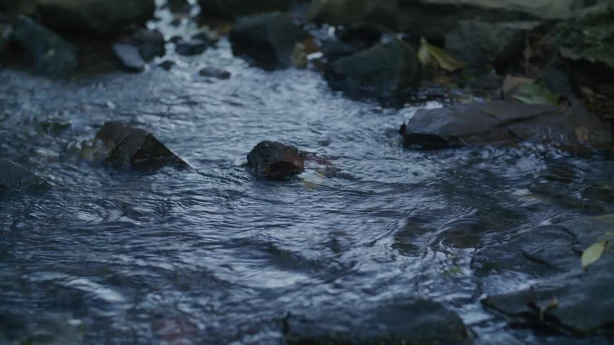 A stream with water passing over some small stones