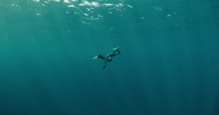 A scuba diver swims under the sea and heads to the surface