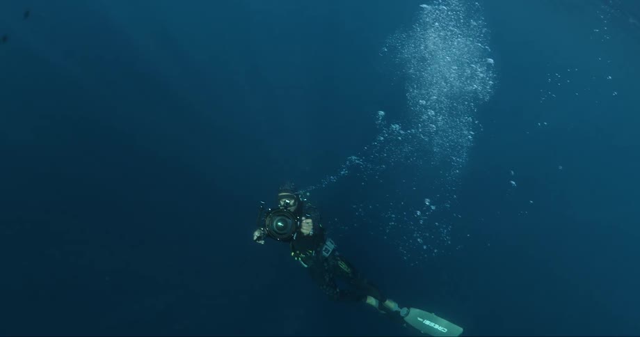 Man wearing scuba diving apparel swimming underwater with a camera in his hands