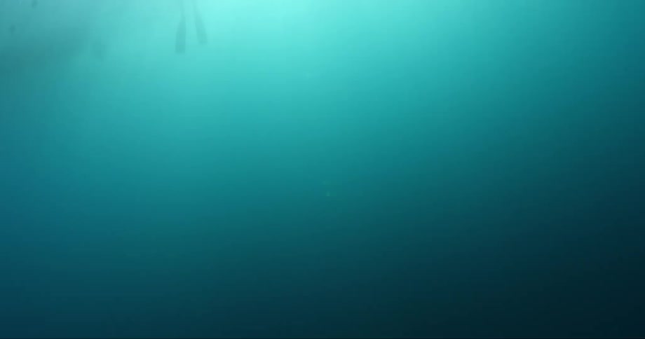 Sunlight shining from above silhouettes diver floating near the surface
