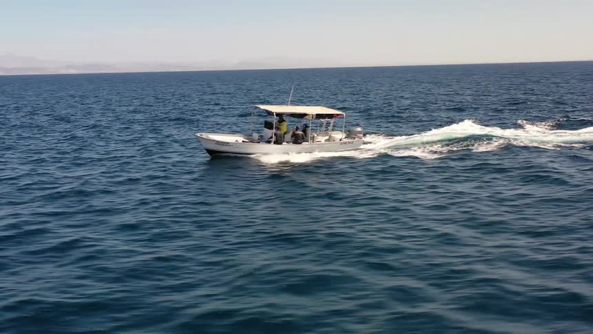 A boat transports people in the ocean