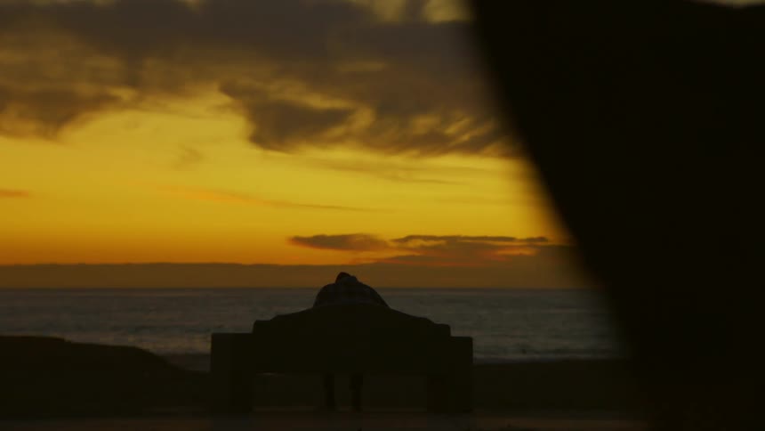 Canine walks by as person rises in silhouette against sunset background