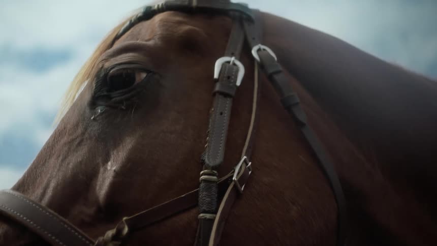 Closeup of a horses face with a view of the blue sky and clouds