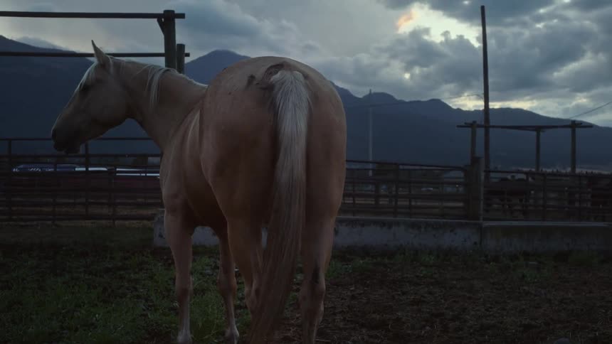 A beige horse is in a stable and in the background there are big mountains