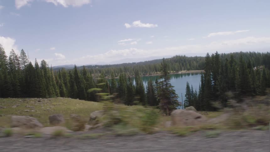 A forest of pine trees next to a lake and there are several rocks in front of a rural road