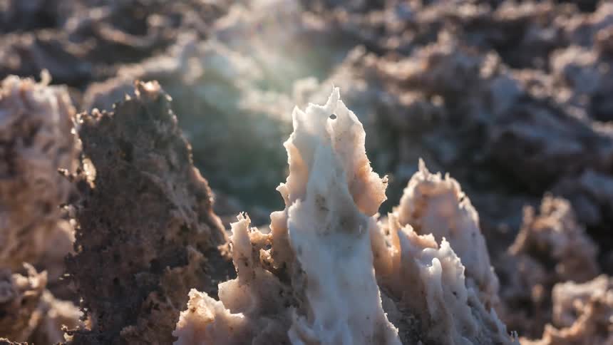 Ppenair corals with sunlight reflecting
