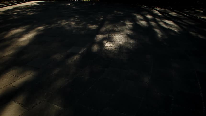 A floor of a cobblestone street has shadows from a tree and shadow holes made by sunlight
