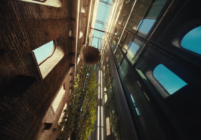 Plants hang from the ceiling