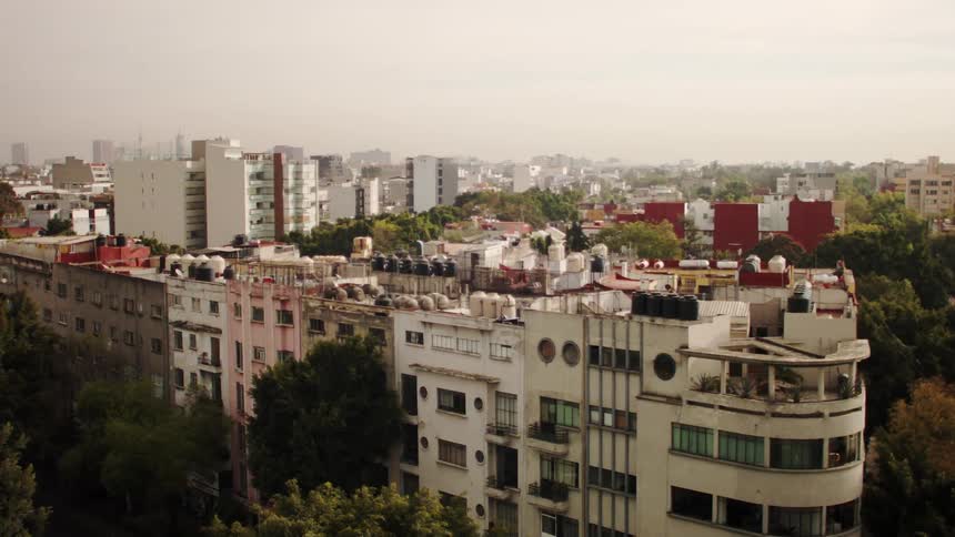 Trees surround apartment buildings a distance from the foggy city skyline in the background