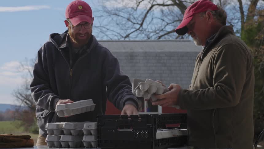 Farmers stack eggs in a crate