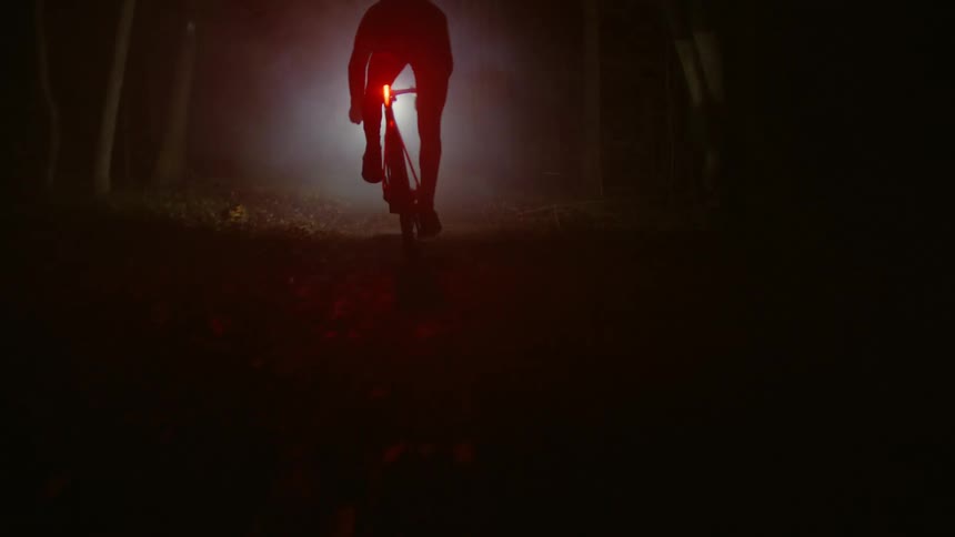 Person riding a bicycle through a forest at night