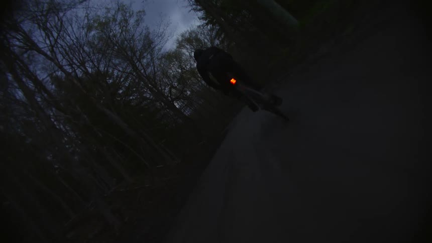 A man is riding his bicycle down a forest path