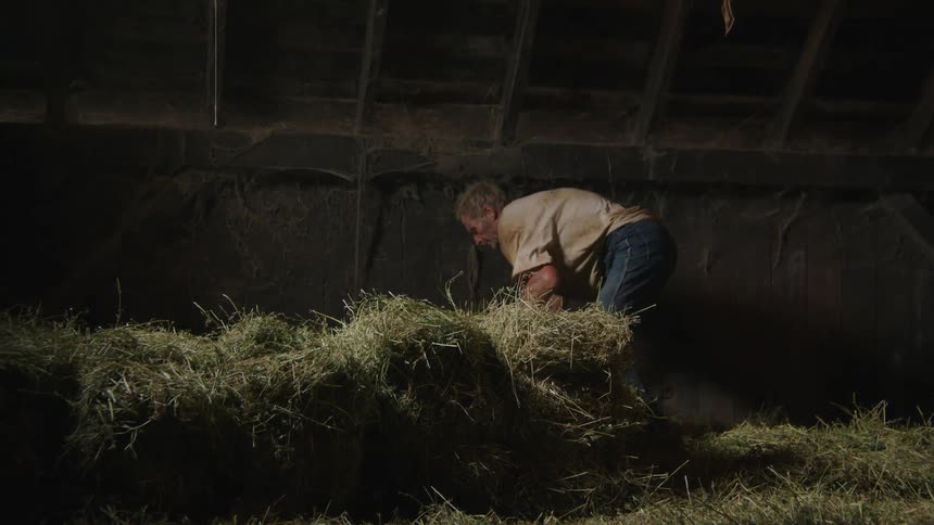 A man stacking hay in the barn
