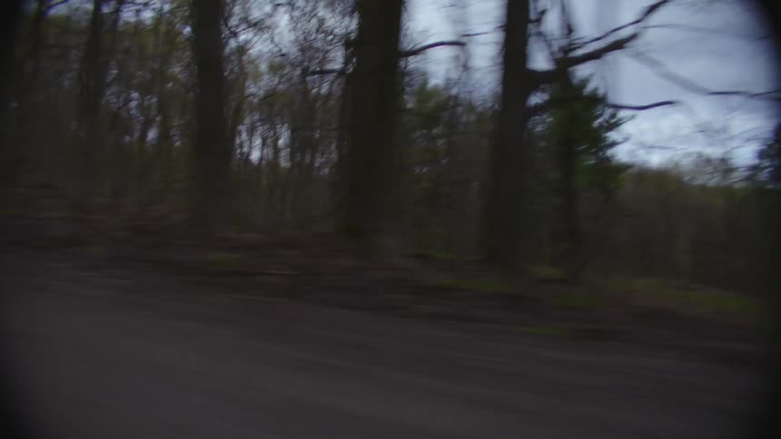 A clip of a road along the woods