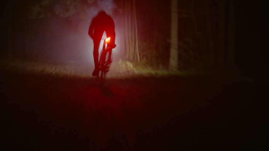 A bicycle speeding across a dark forest at night