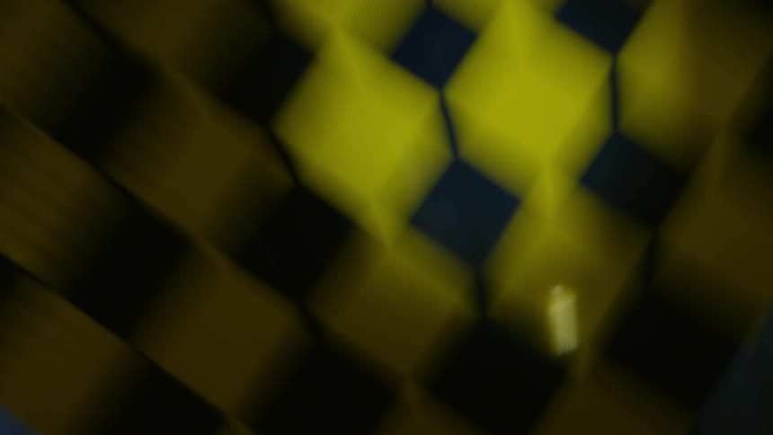 Shaky video of a sign and a half in a forest