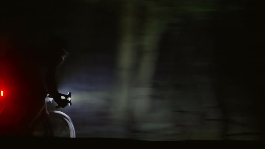 A cyclist pedals through the forest illuminating the fog with a headlight
