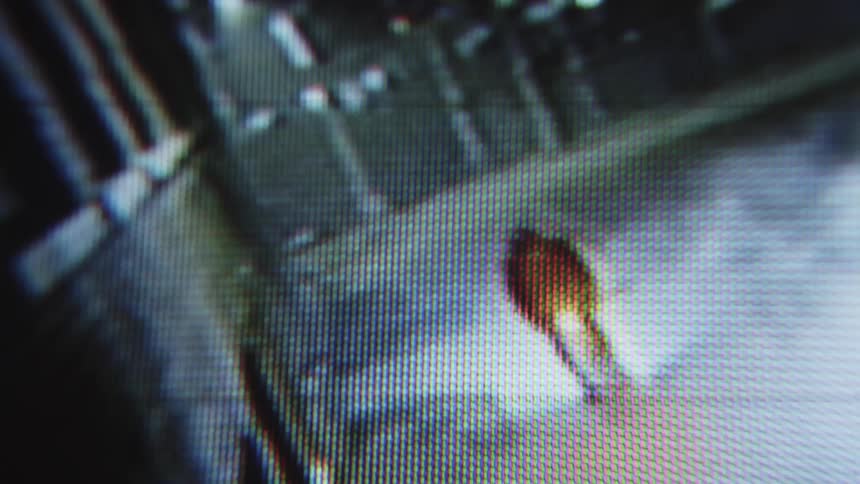 The cctv shows a person riding a bicycle down the alley
