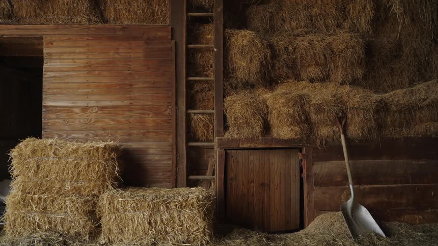 Hay bales fill parts of a barn