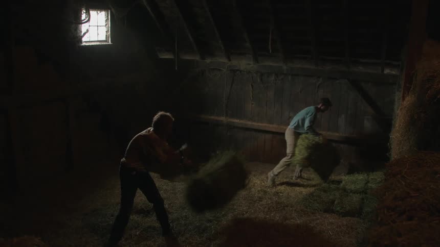Two men working in a barn organizing a pile of grass