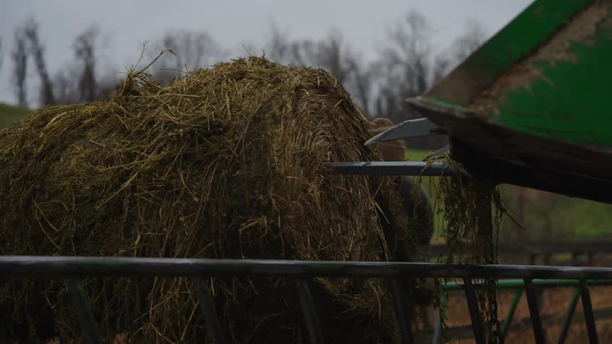 Man taking grass from a roll