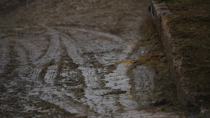 Rain falling on the nephew on a stone street with mud
