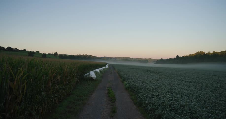 A serene landscape at dawn with a narrow path dividing fields under a clear sky