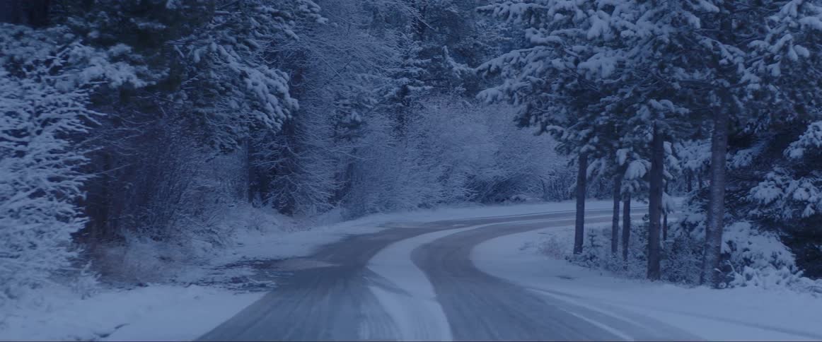 Street in the middle of a forest covered in snow