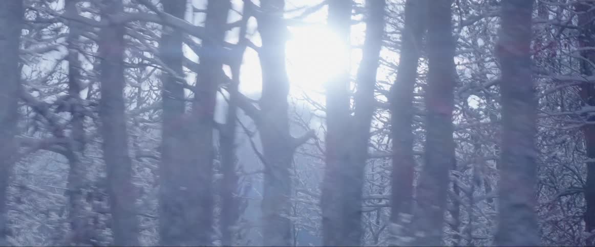 A snowy forest with sunlight shining through the trees