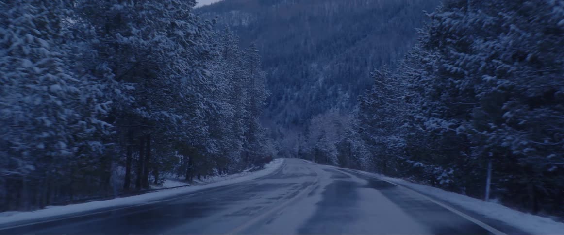 Landscape of a tarred road with snows and trees on both sides at dawn