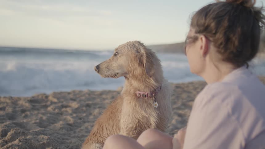 Woman sitting on the beach enjoying the view next to her dog