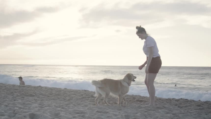 A clip of a lady training a dog by the beach