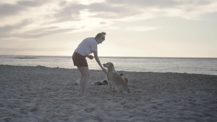 Lady plays with her dog at the beach during the day