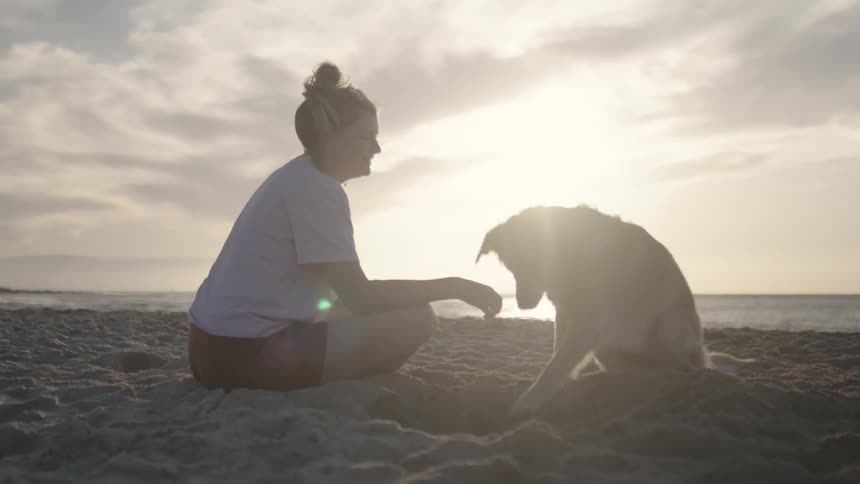 Lady rubs the back of her dog while seated on the beach at daytime