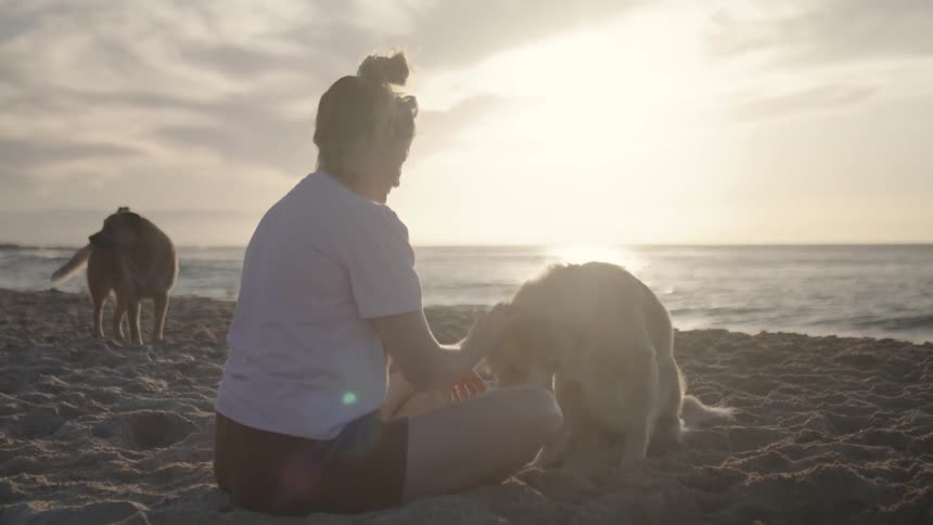 Woman sitting on the beach sand petting her dog