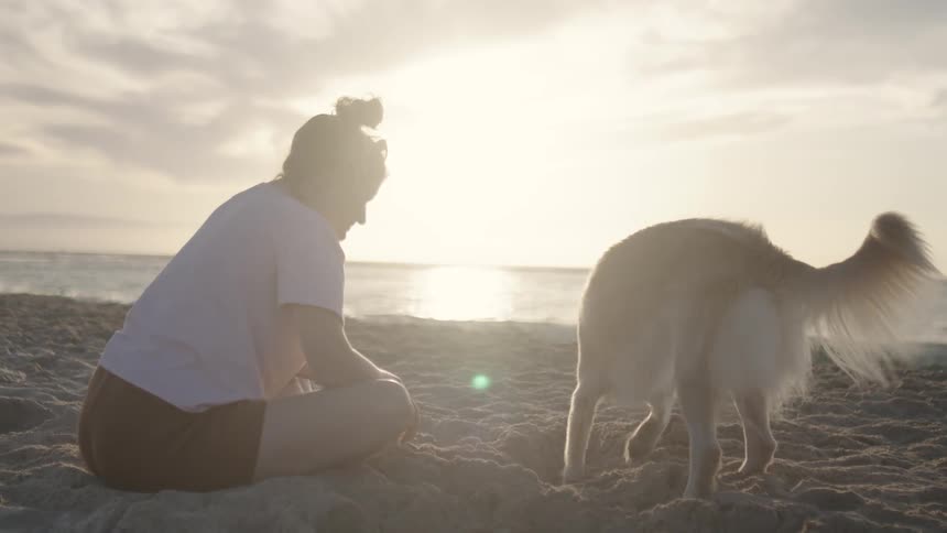 Lady sits on the beach while watching her dog digs the ground playfully during the day