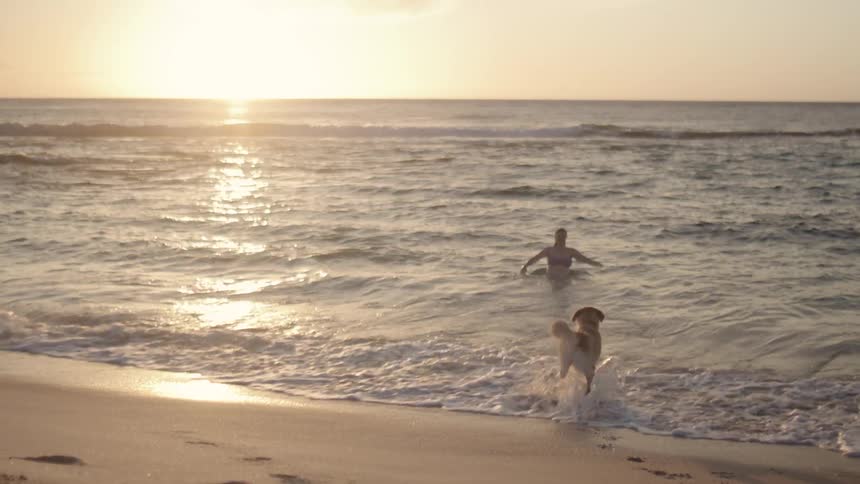 A lady swim inside the sea and her dog joins her in the water