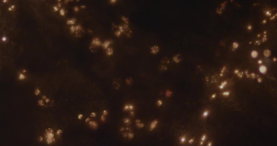 Sparks burn in a dark room