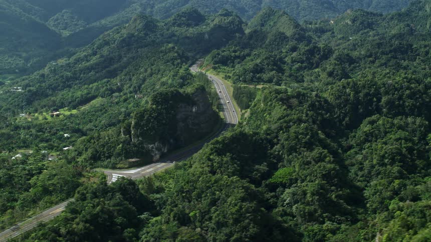 Cars drive on a road that cuts through a dense forest area