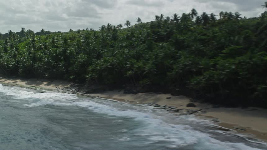 Waves wash up to a forested beach area